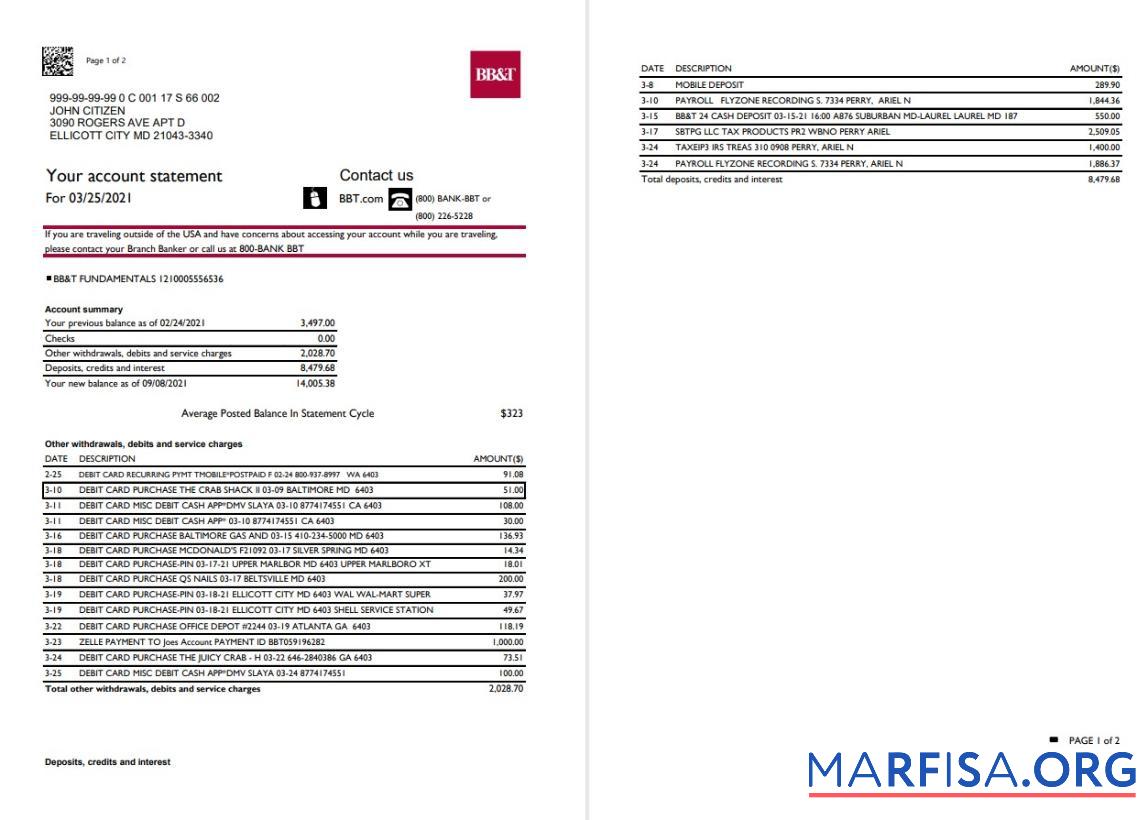 Printable USA North Carolina BB&T Corp. bank statement excel(2 pages) example